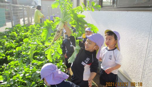 【藤】2学期のふじ組