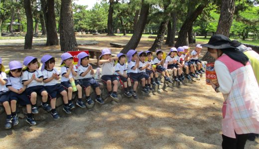 １学期　藤組